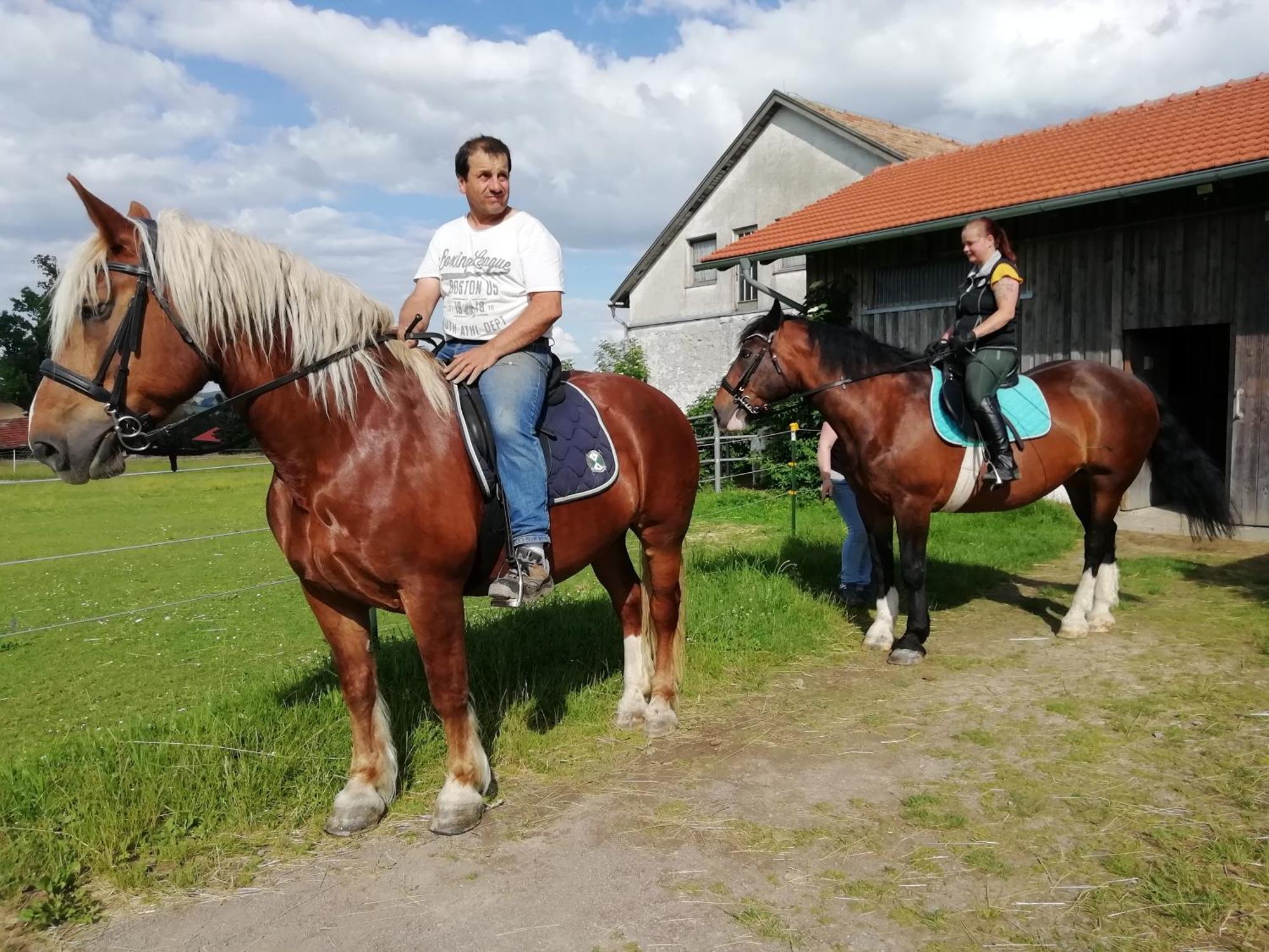 Ponyhof Adam Urlaub Auf Dem Bauernhof Apartment Eschlkam Exterior photo